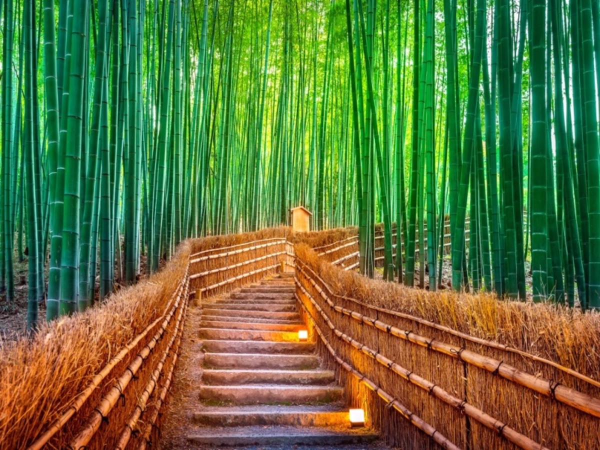 Départ De Kyoto 0