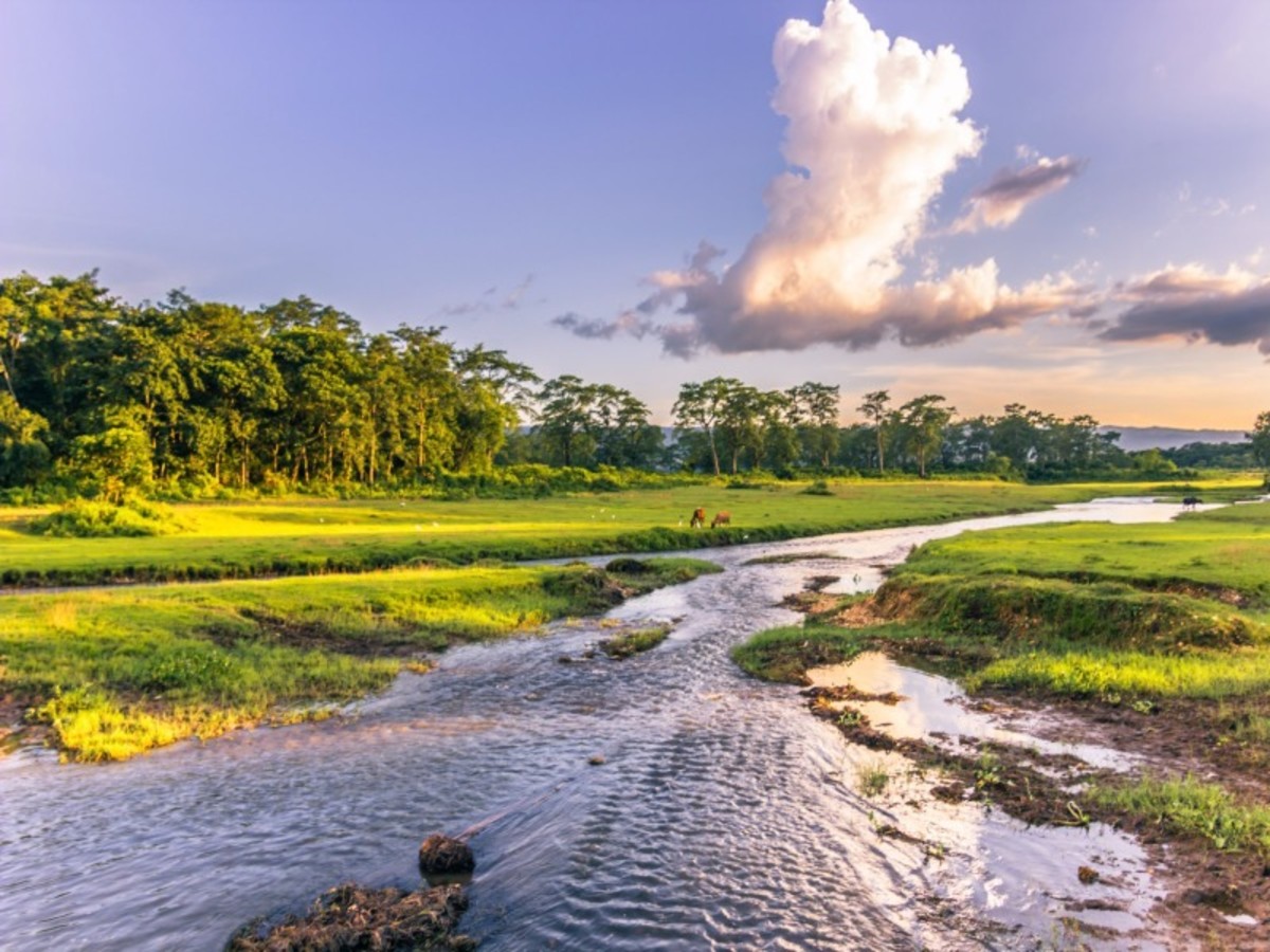 Pharping > Parc De Chitwan ( Env. 165 Km) 0