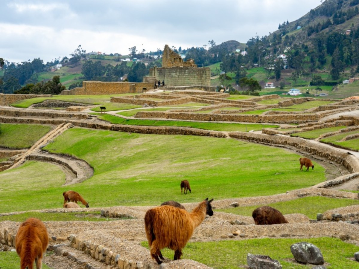 Samedi / Riobamba / Ingapirca / Cuenca (290 Km Environ 5h30) 0
