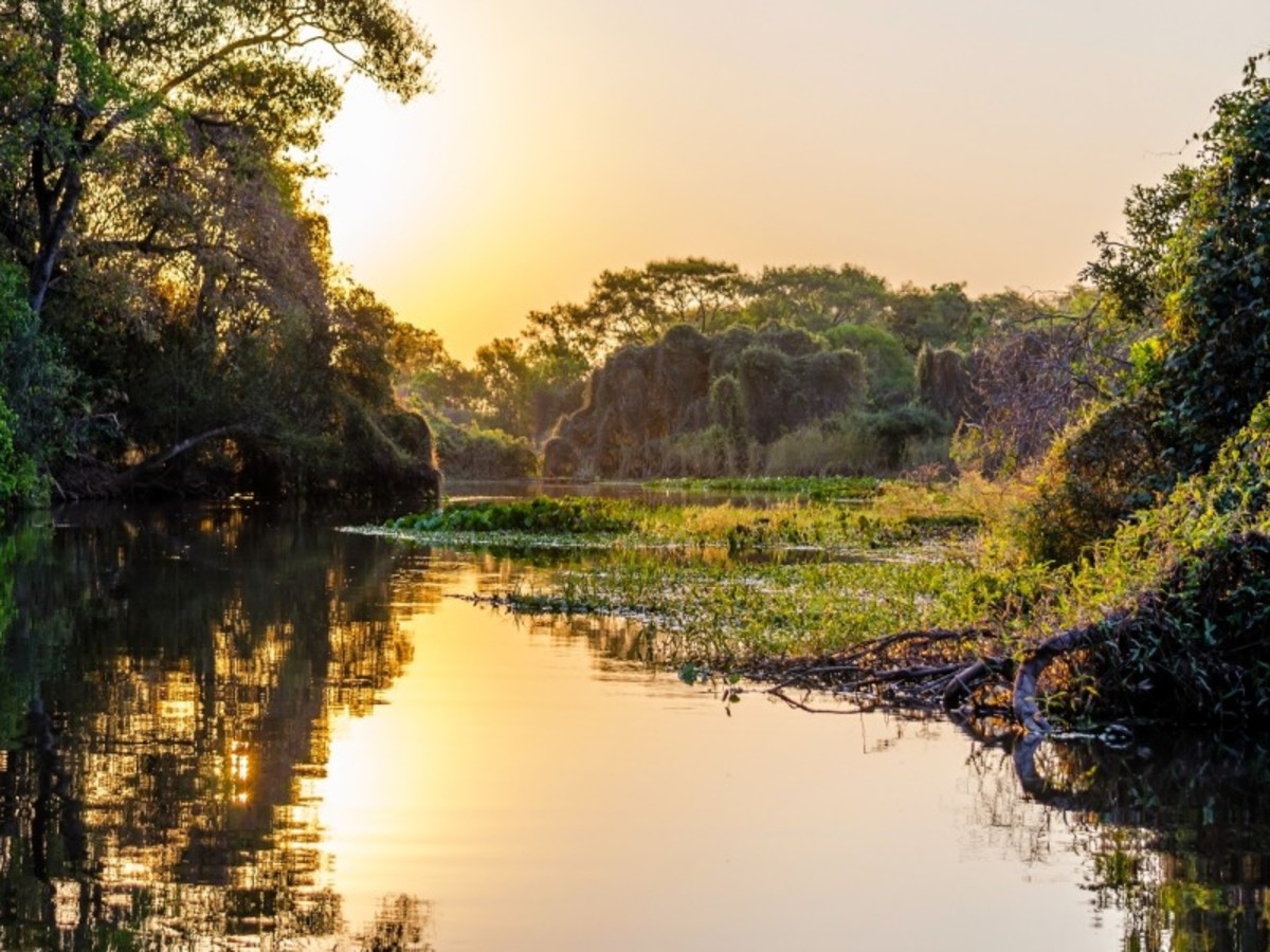 Pantanal 0