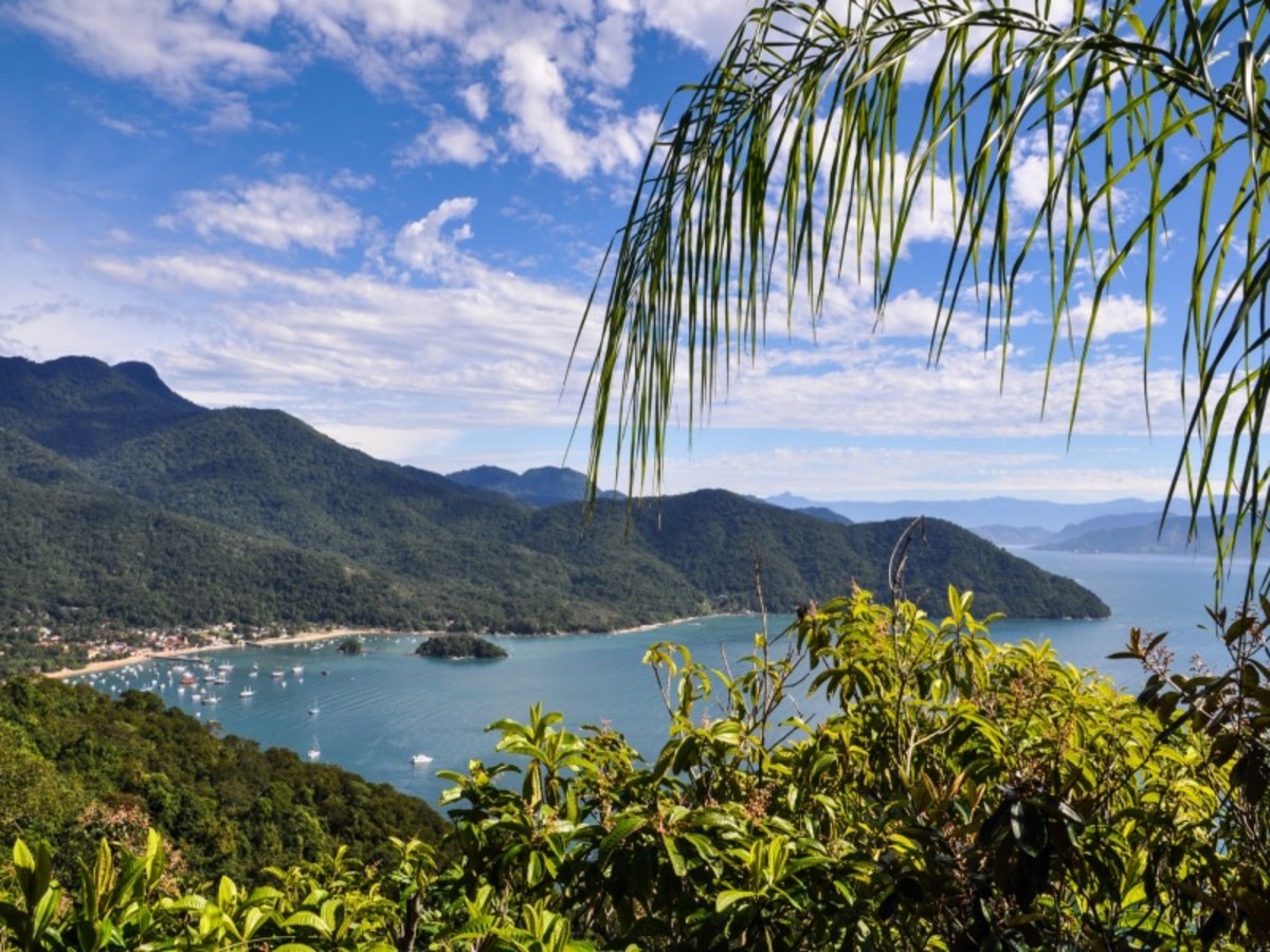 Ilha Grande : Plage De Lopes Mendes 0