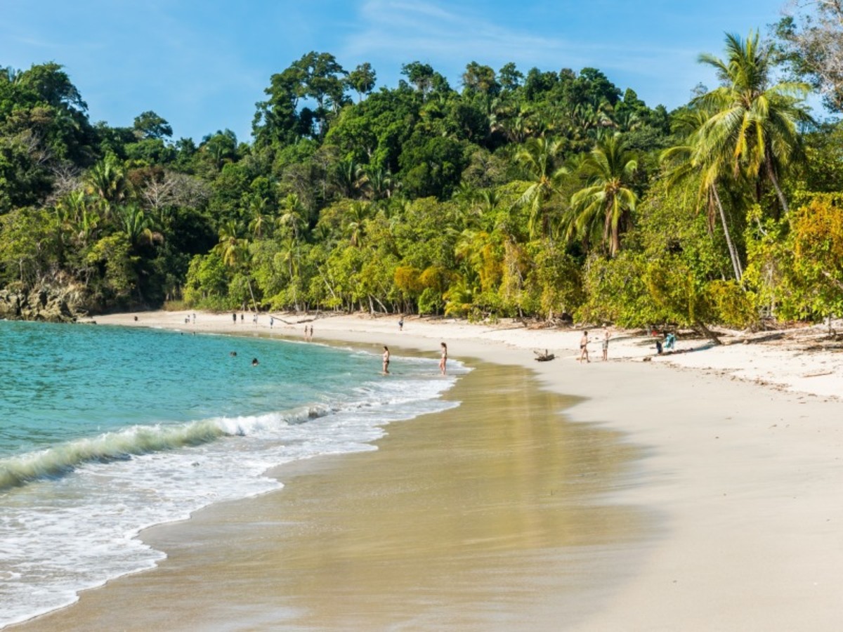 Mardi / San José / Manuel Antonio (Environ 5h De Route) 0