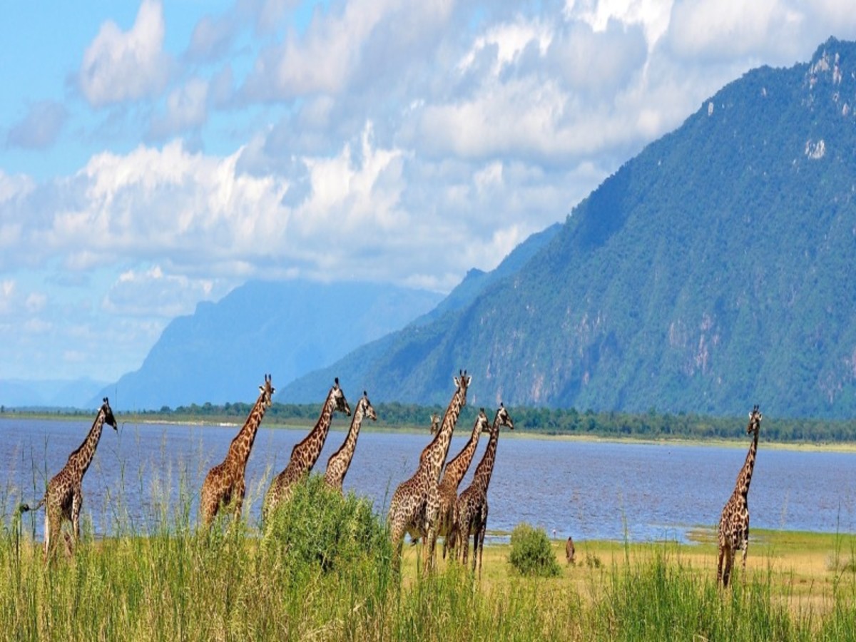 Arusha > Manyara > Karatu 0