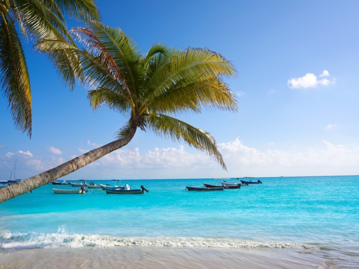 Samedi / Playa Del Carmen / Cancun Out 0