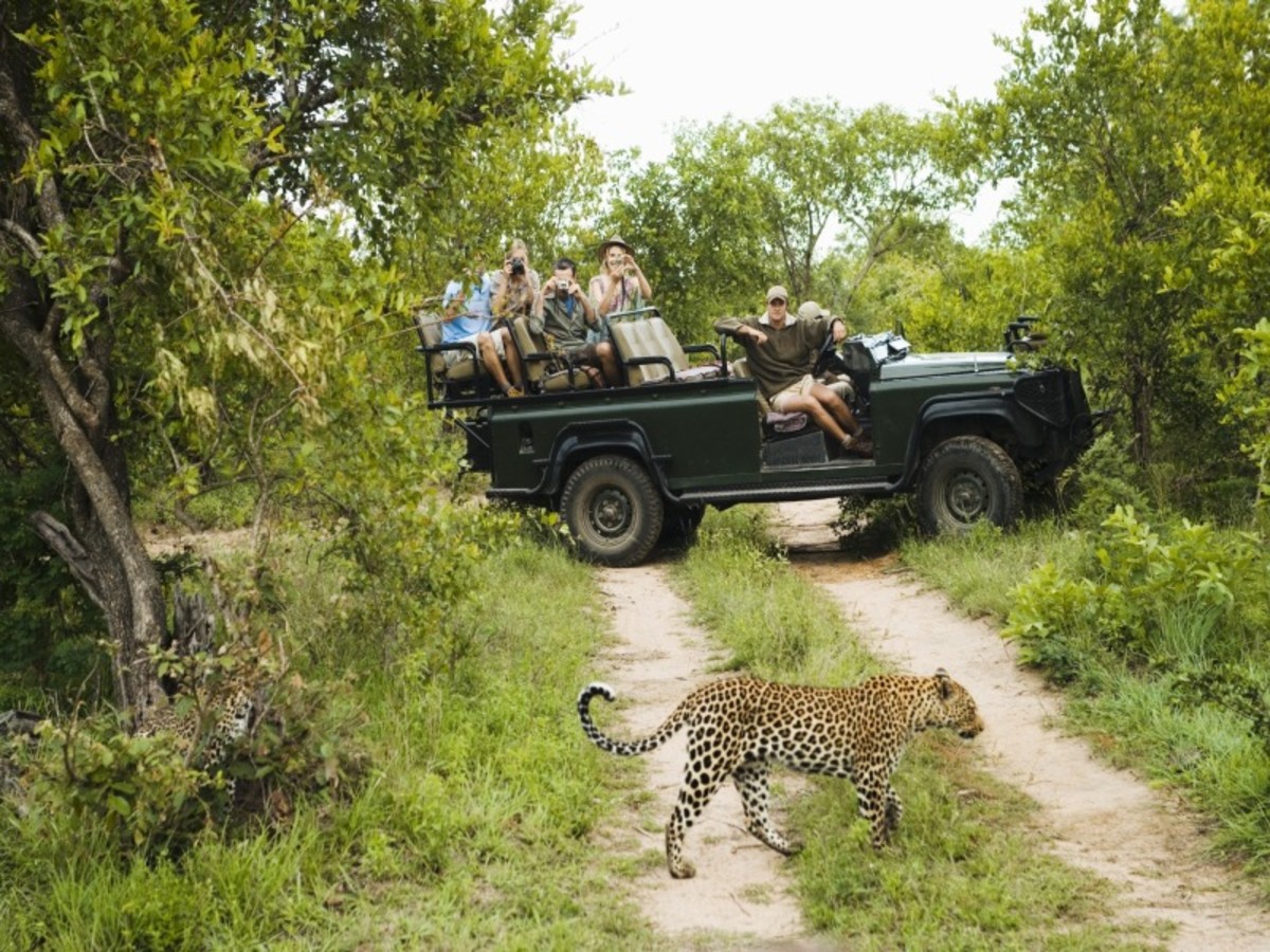 Parc Kruger 0
