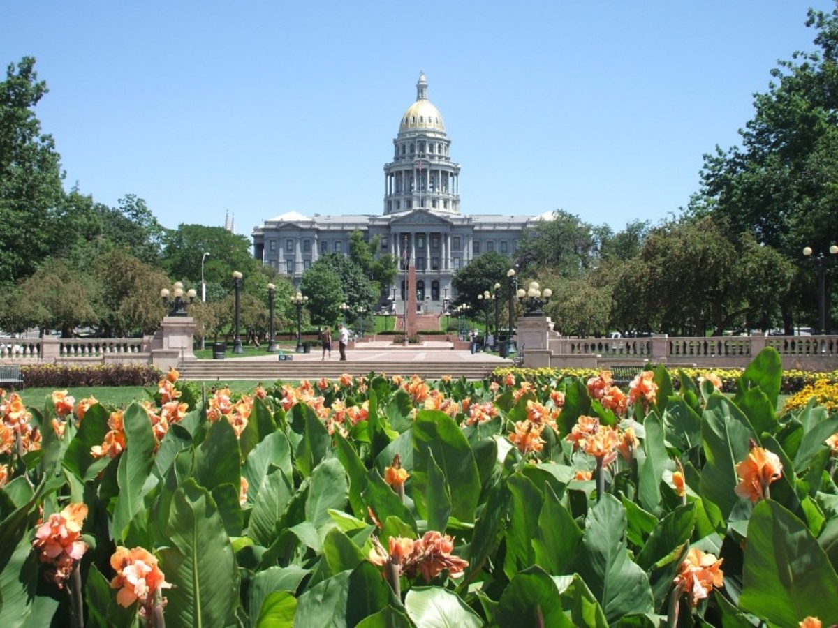 Denver > France 0