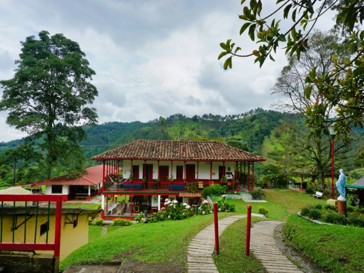 De Bogota Aux Hauteurs D'armenia : L’âme Caféière De La Colombie 0