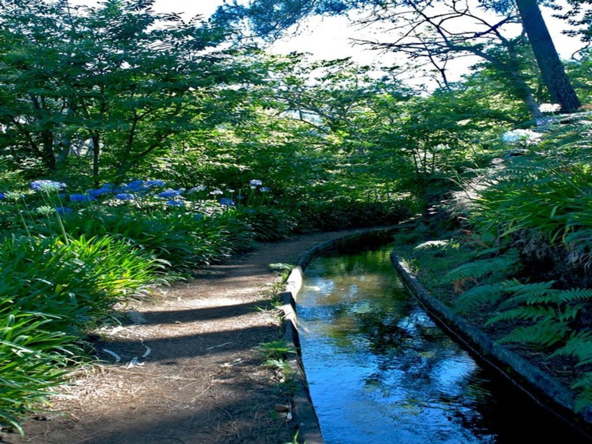 Levada 0