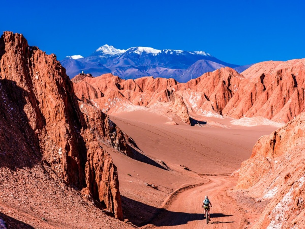 Mardi / San Pedro De Atacama / Lagune Cejar / Vallee De La Lune Et De La Mort / San Pedro De Atacama 0
