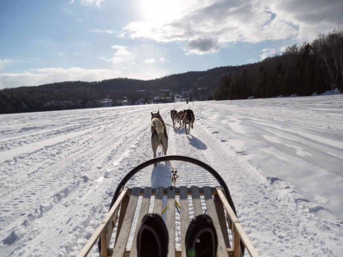 Auberge Du Lac Morency : Traineau A Chiens > Patins > Jeux De Bûcheron 0