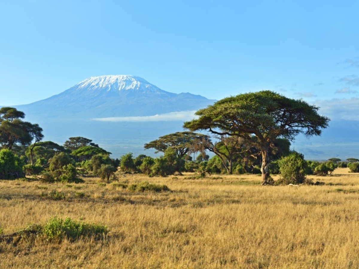 Amboseli 0