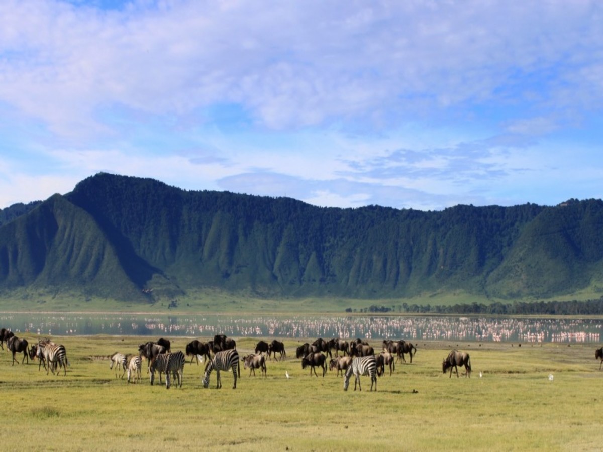 Karatu / Cratère Ngorongoro / Serengeti 0