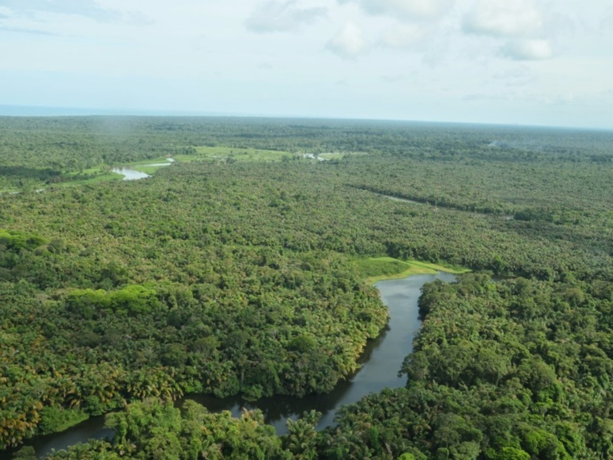 De San José à Tortuguero La Jungle Des Caraïbes 0