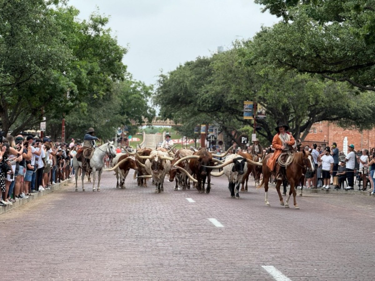 Fort Worth > Dallas > San Antonio (450 Km – 5h) 0