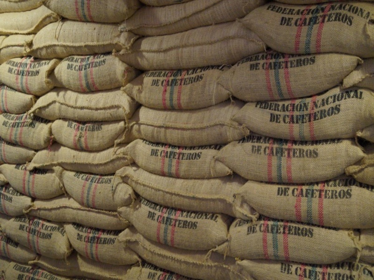 Region Du Cafe : Visite D'une Ferme De Café Salento 0