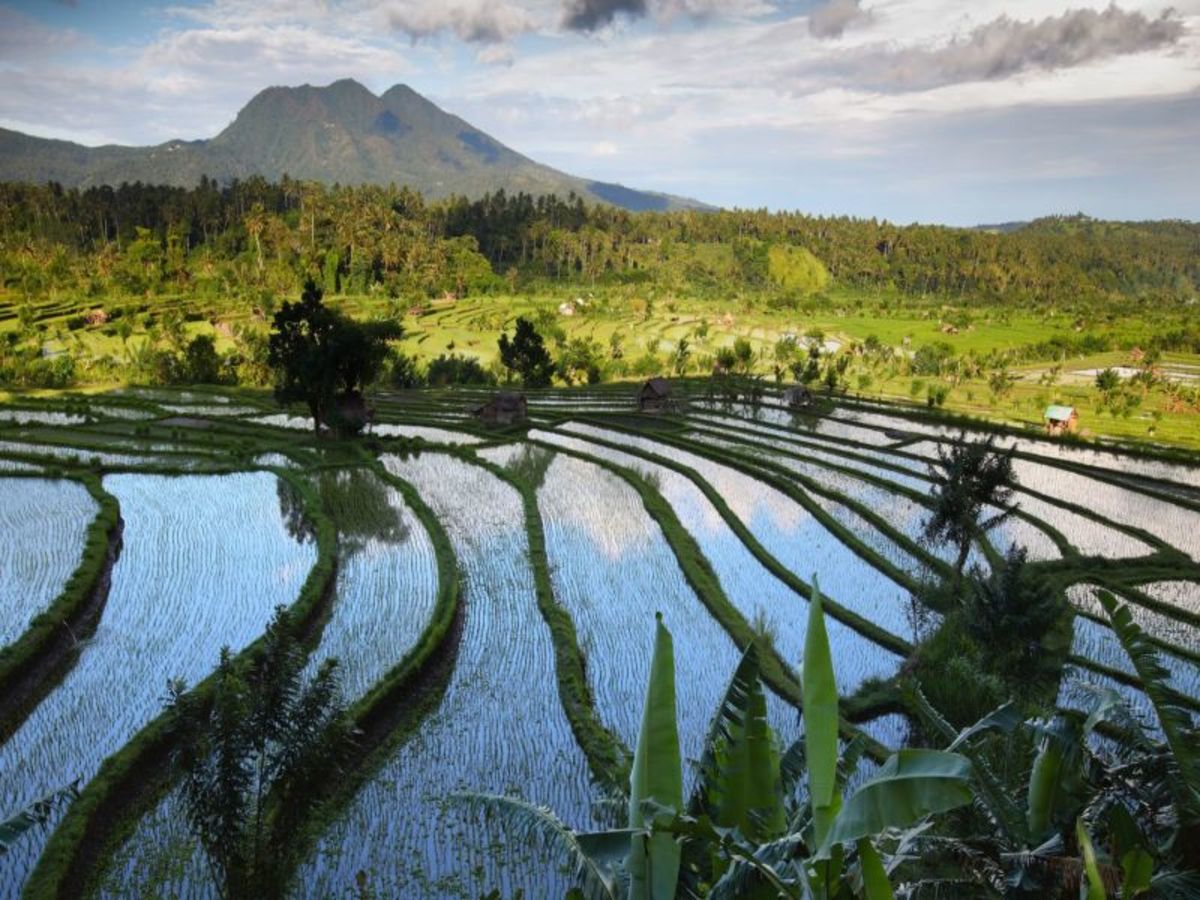 Ubud 0