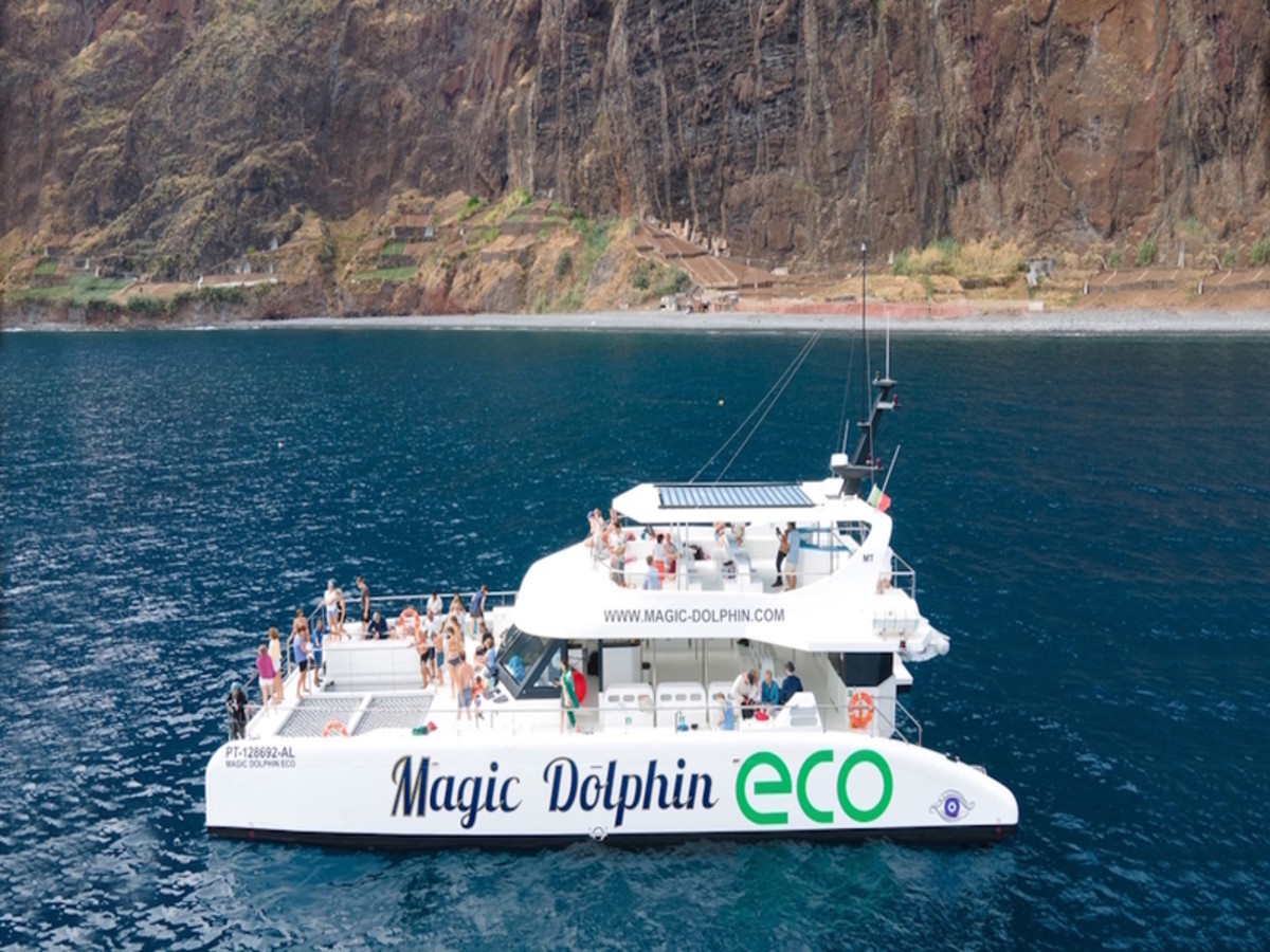 Excursion En Catamaran – Magic Dolphin (3 Heures) 0