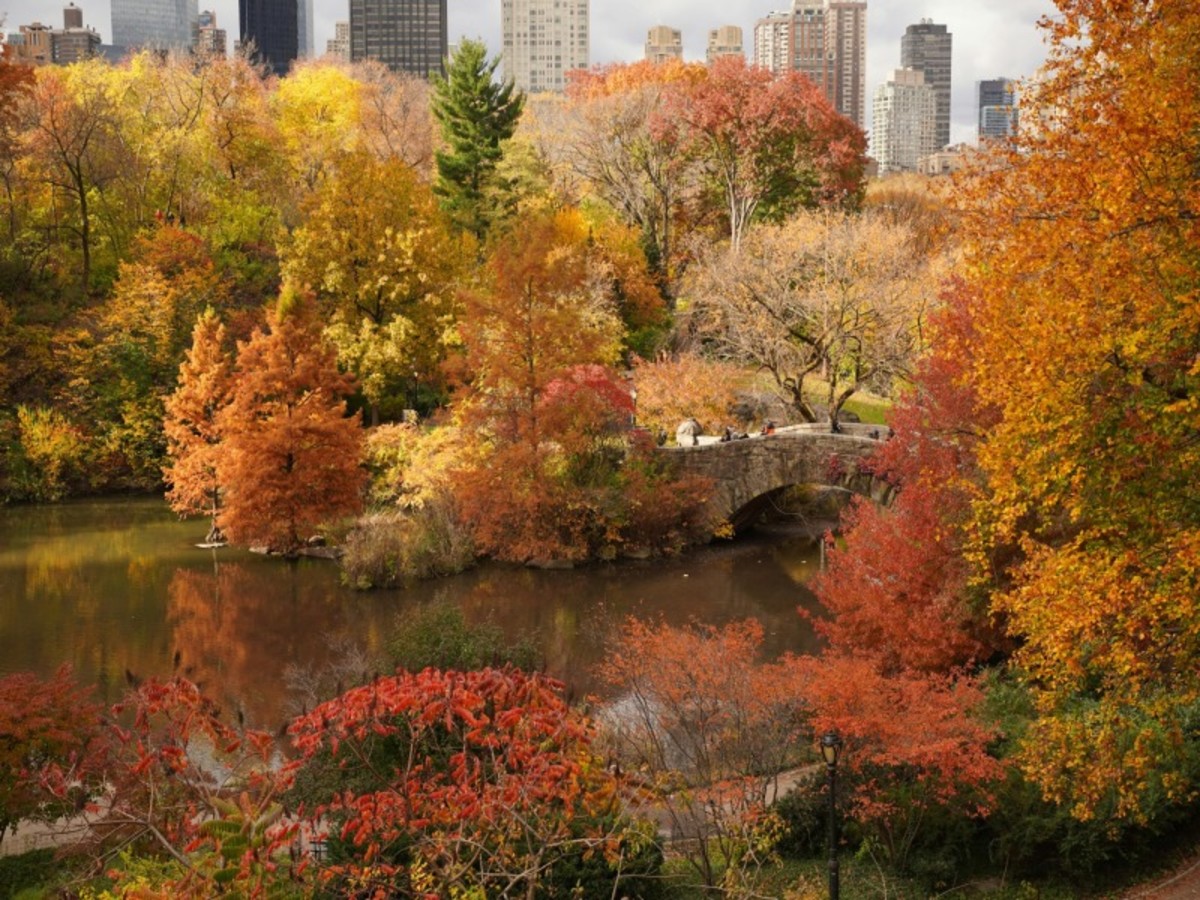 New York 0