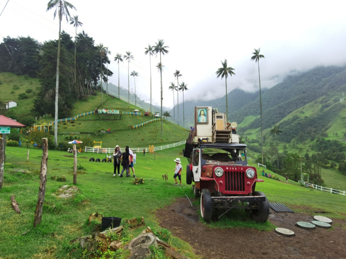 Region Du Cafe : Visite De Salento, Vallée De Cocora Et Filandia 0