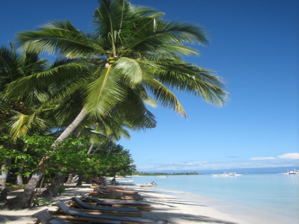 Cebu > Bohol 0