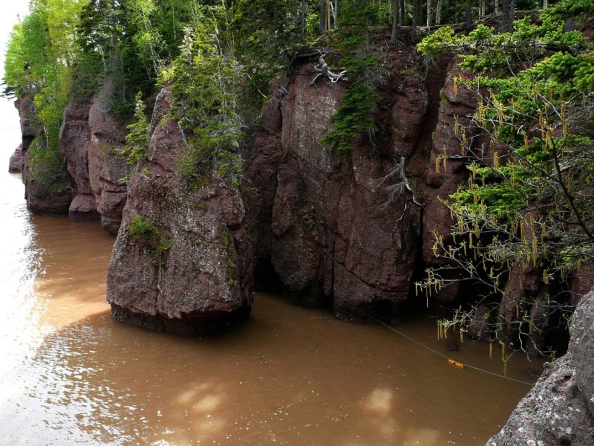 Moncton > Baie De Fundy > St John (200 Km) 0