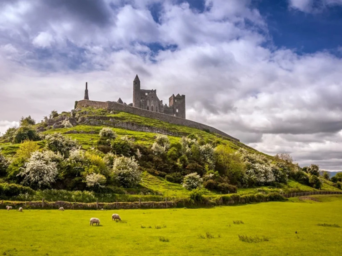 Cork   Dublin 0