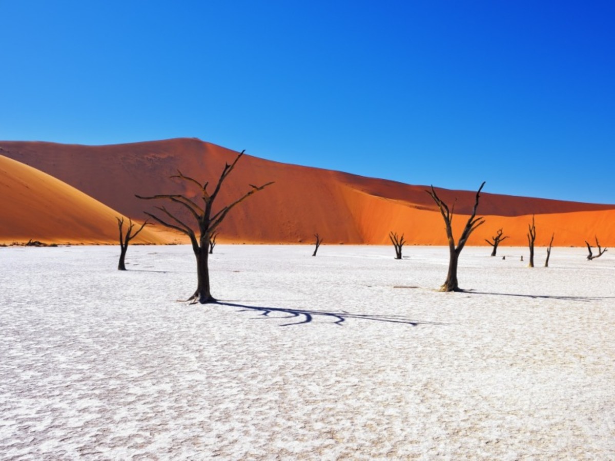 Swakopmund Namib Naukluft 0