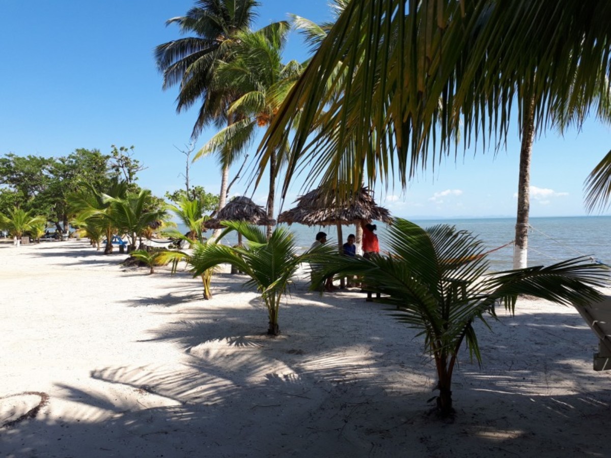 Monterrico 0
