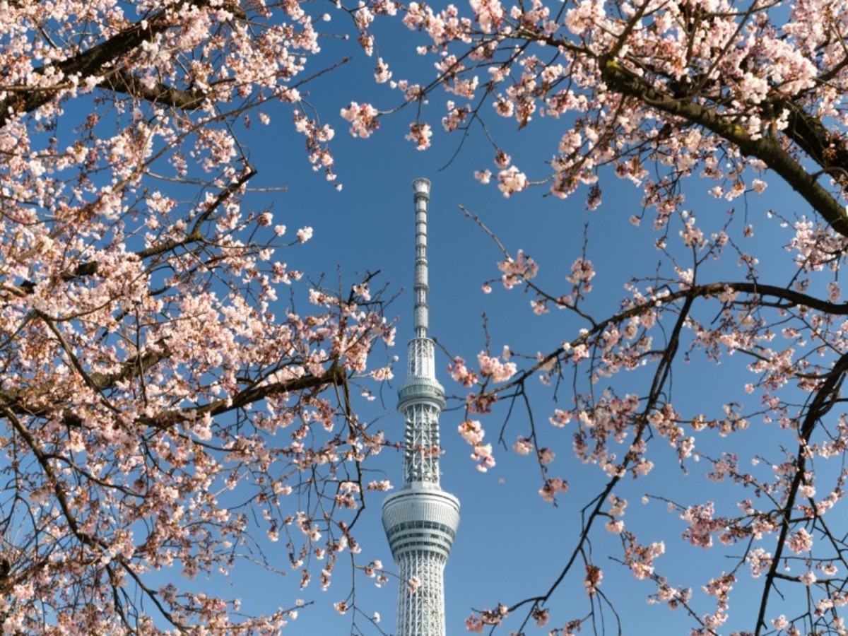 Tokyo 0
