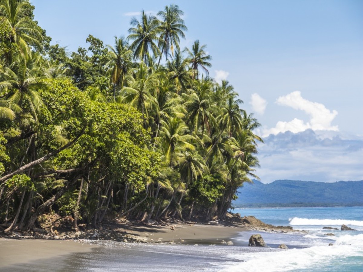 Bahia Drake > Parc National Du Corcovado > Bahia Drake 0