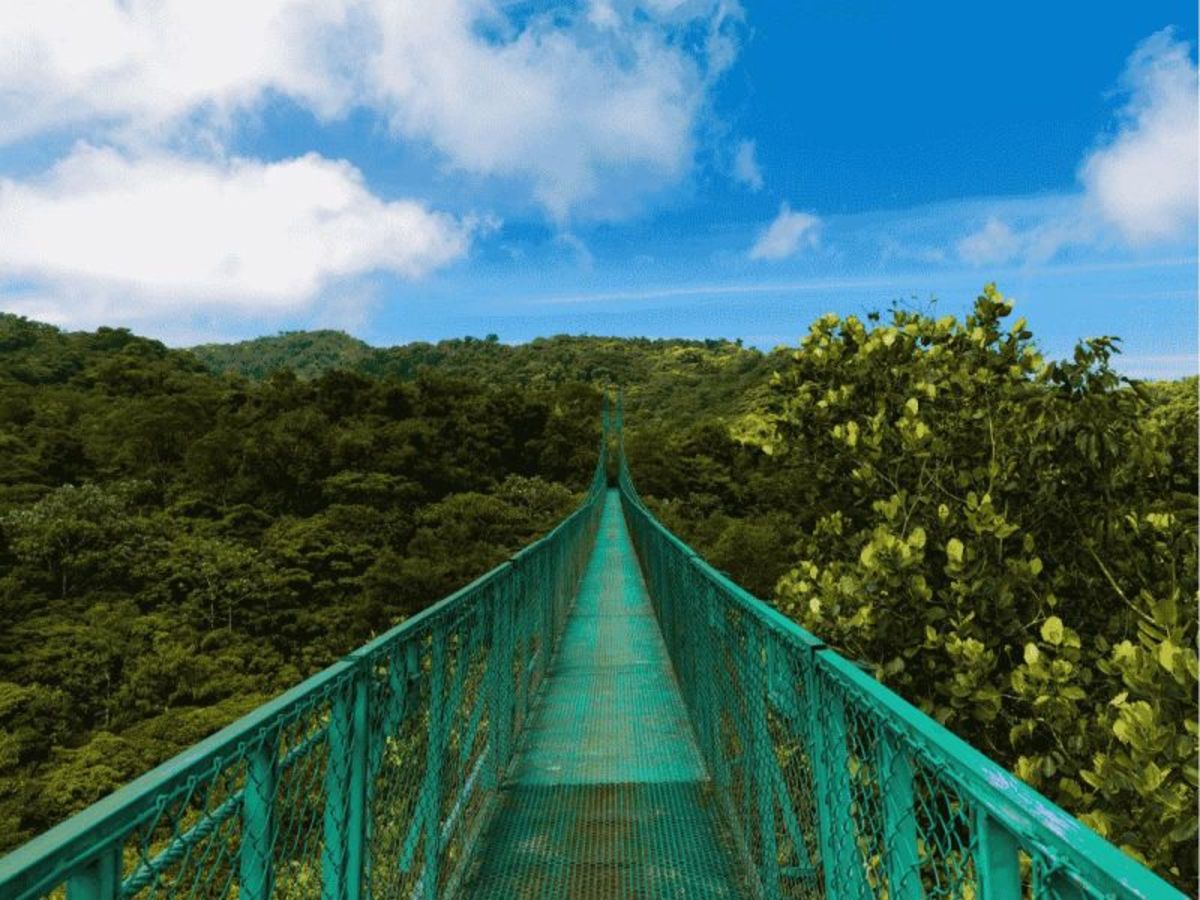 Dimanche / Rincon De La Vieja / Monteverde (2h30 De Route Env.) 0