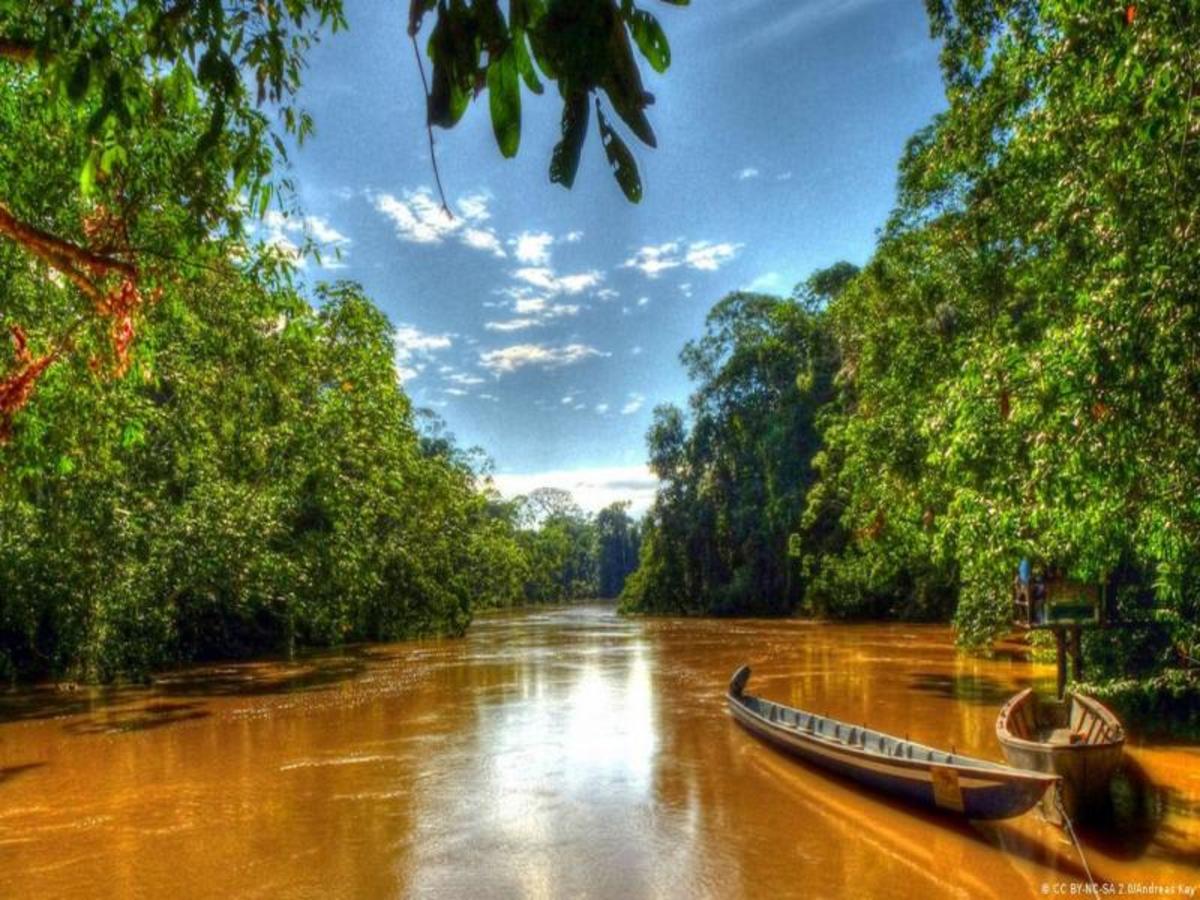Amazonie : Quito (✈) Vol Vers Coca  Programme 0