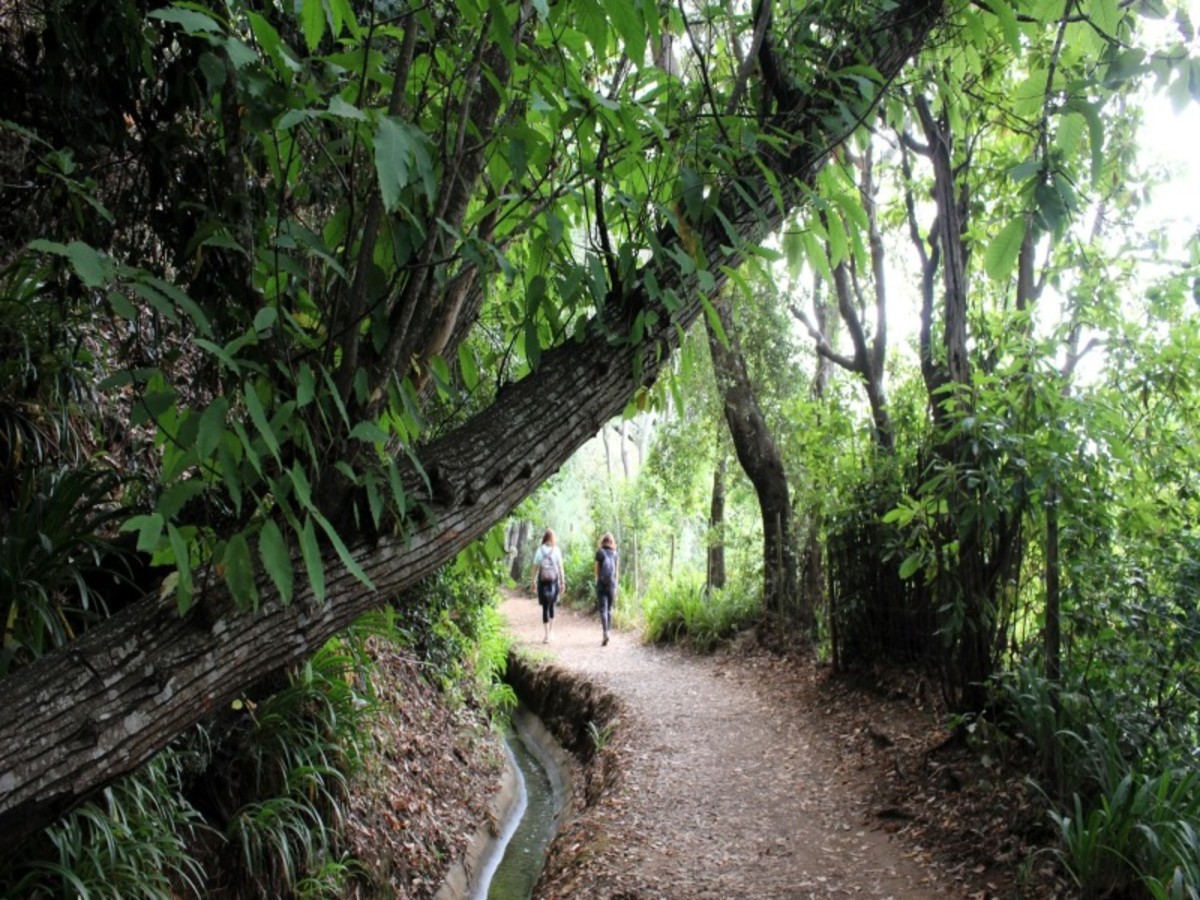 Vallée Du Paradis Avec Thé Et Petite Gourmandise 0