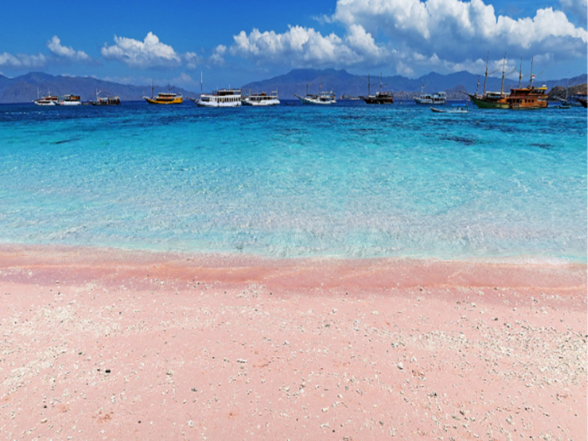 Labuan Bajo > Padar > Pink Beach > Manta Point > Labuan Bajo 0