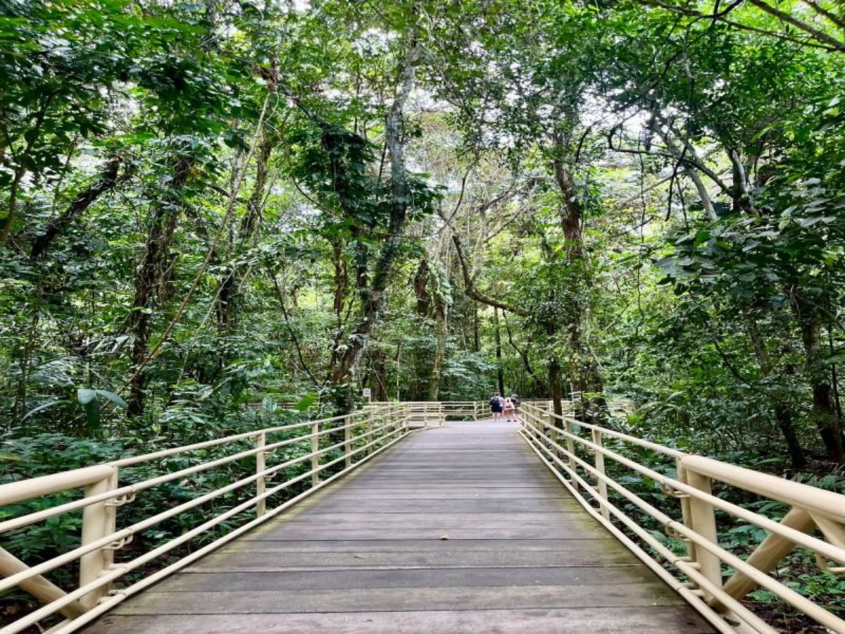 Manuel Antonio 0