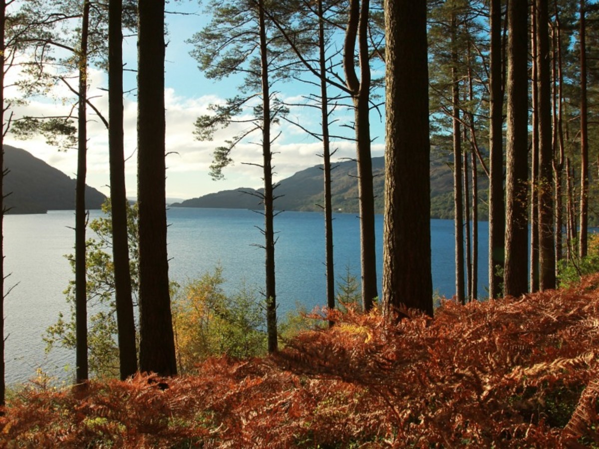 Glasgow – Trossachs – Lomond – Région De Fort William/Tyndrum/Oban 0