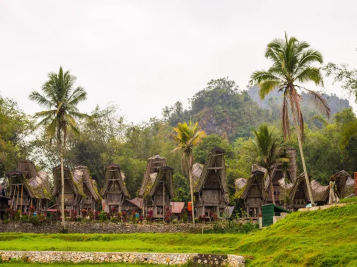 Denpasar / Makassar / Toraja 0