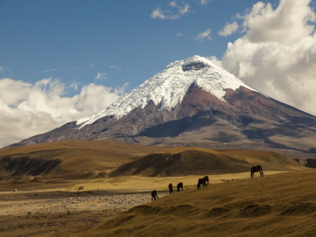 Quito > Cotopaxi > Quito (Env. 220 Km / 3h30) 0