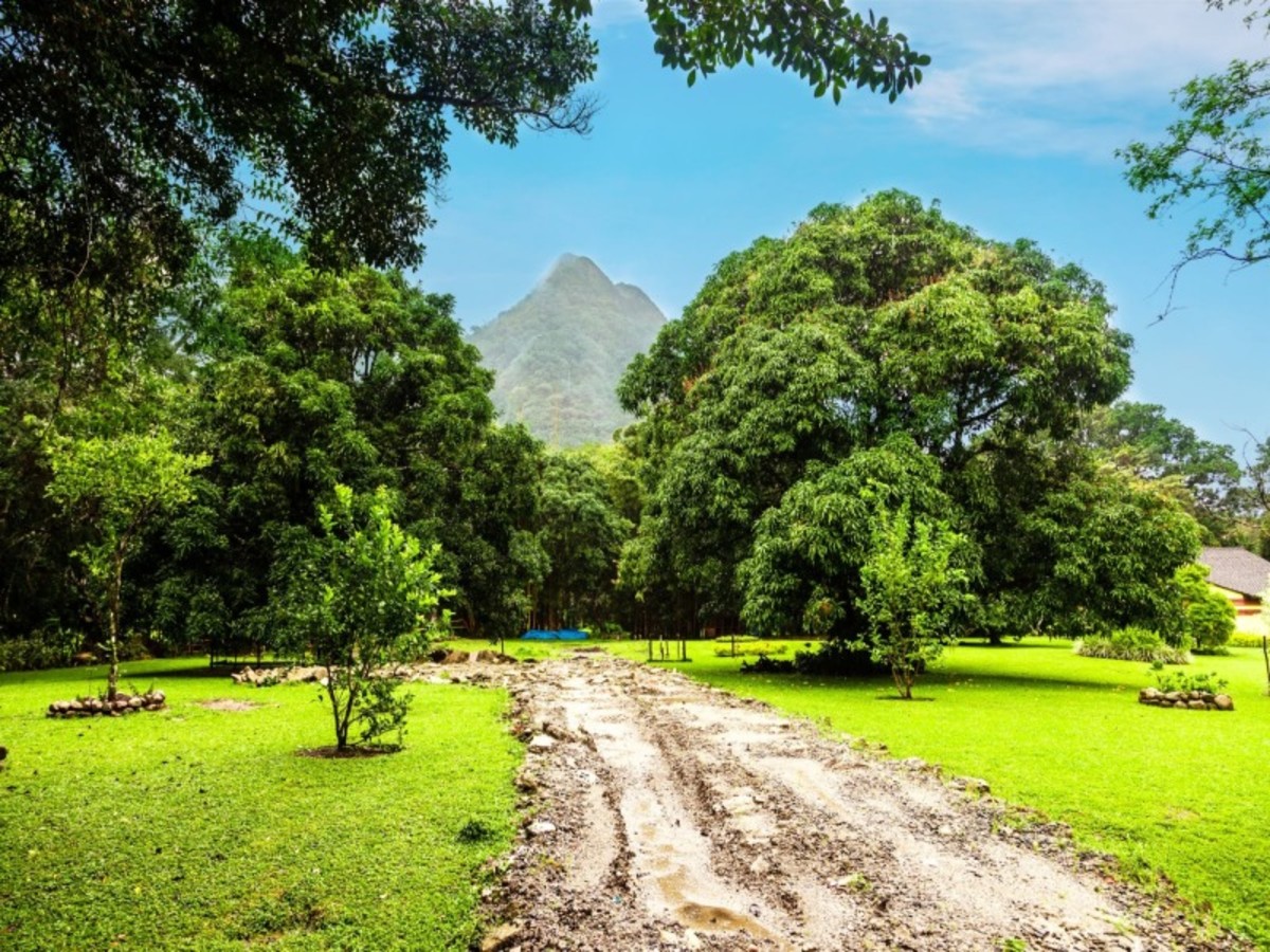 Vendredi / Panama City / El Valle De Antón 0
