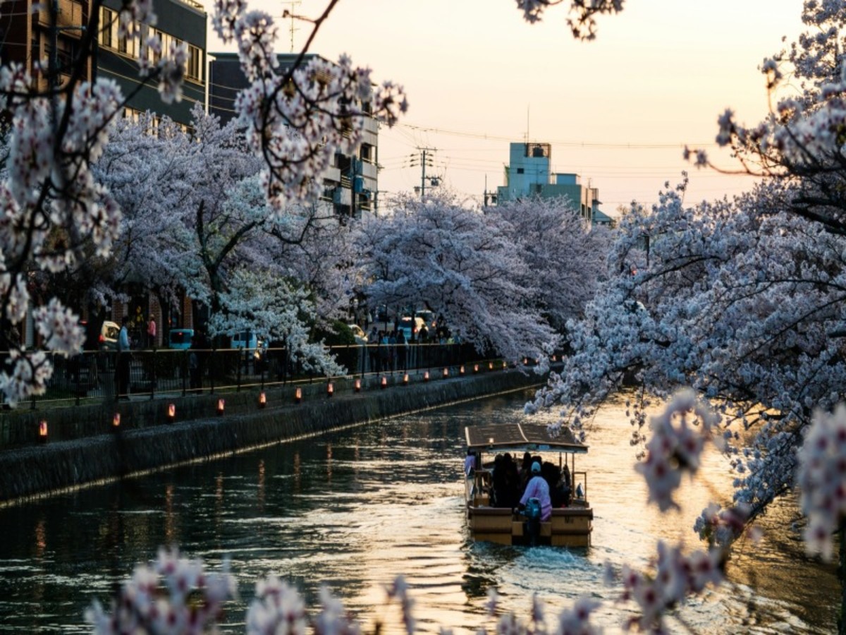 Kyoto 0