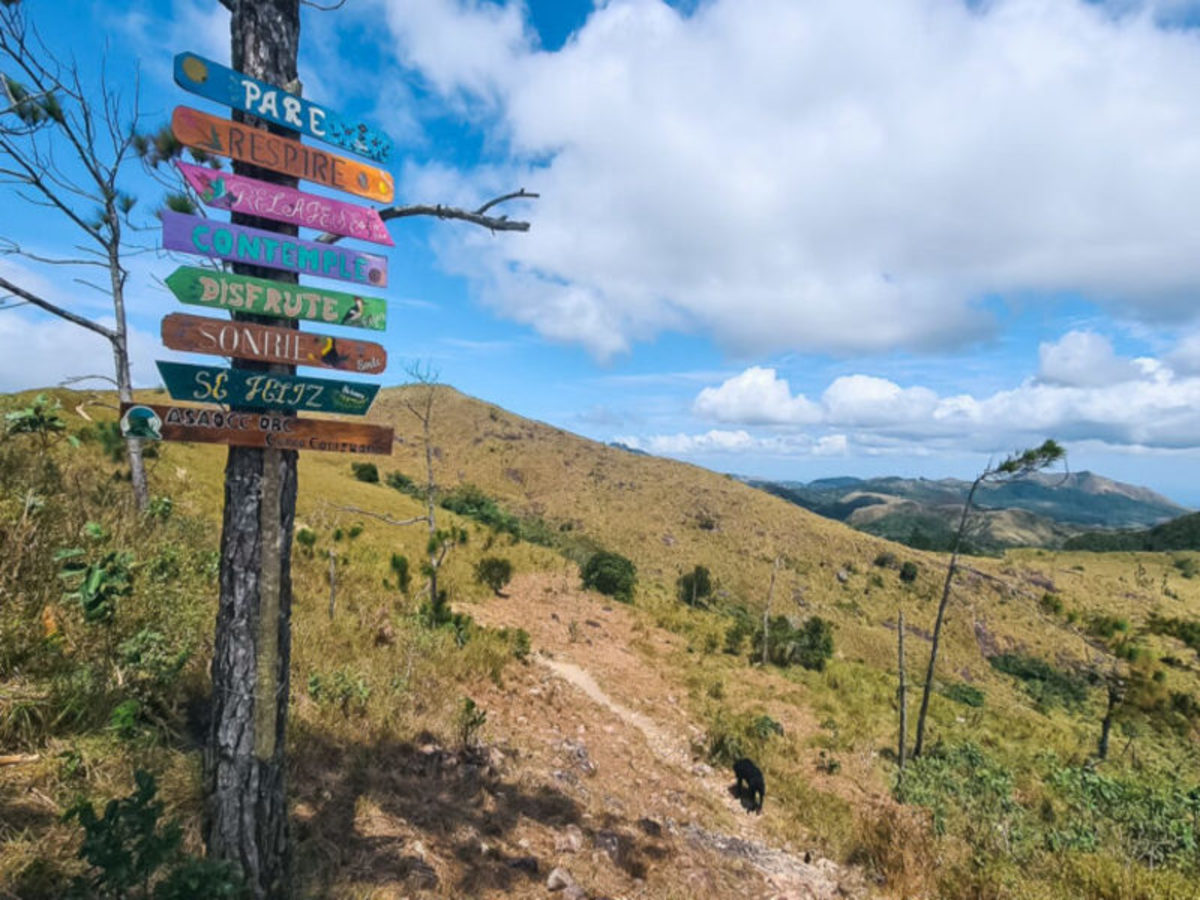 Panama City – El Valle : Ferme D’ananas & Café, Rencontre Locale 0