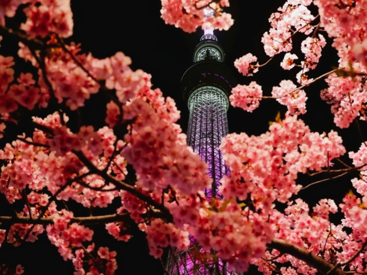 Tokyo / Vol 0