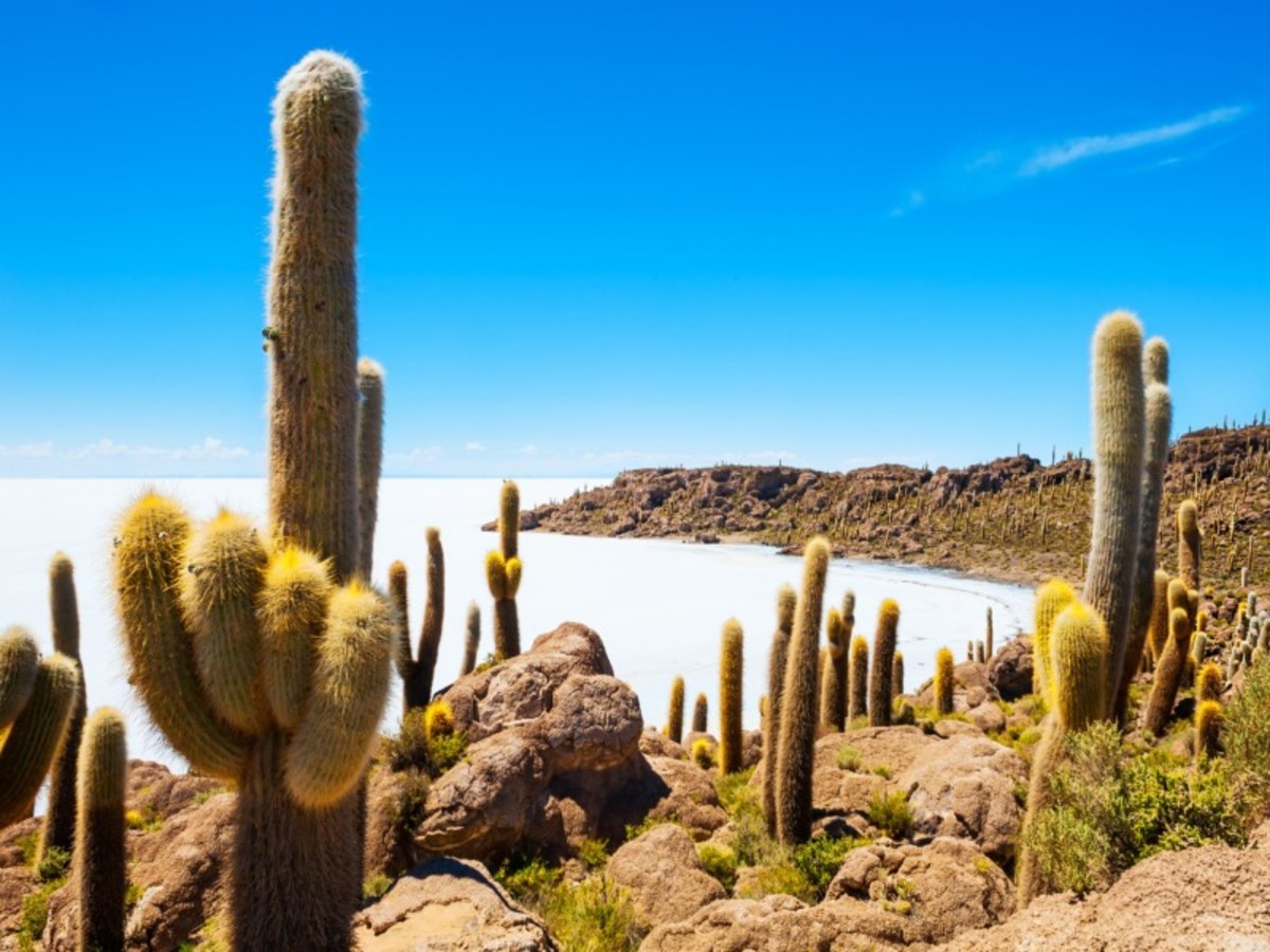Sucre > Potosi > Uyuni (360 Km/06 H30)   Altitude Maximum : 4090 M 0