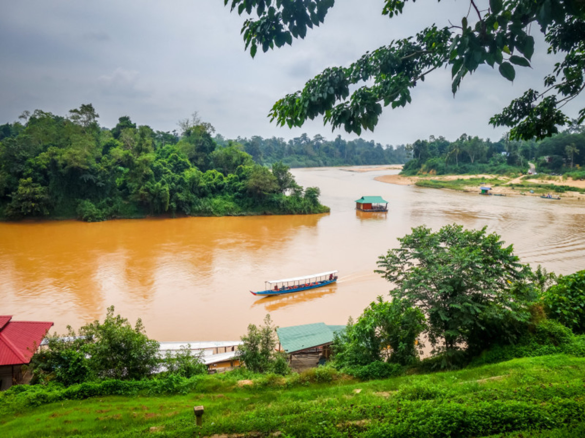 Taman Negara 0