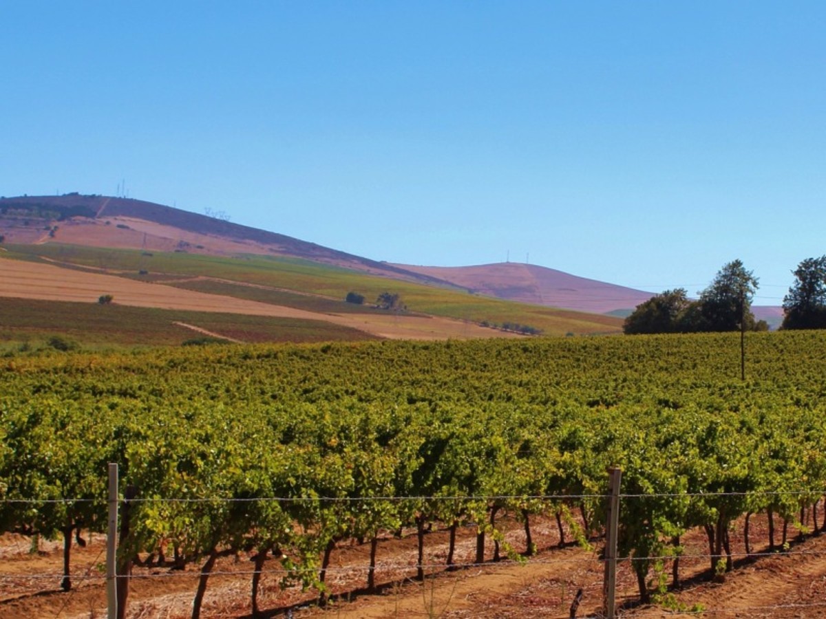 Cape Town (152 Km) 0