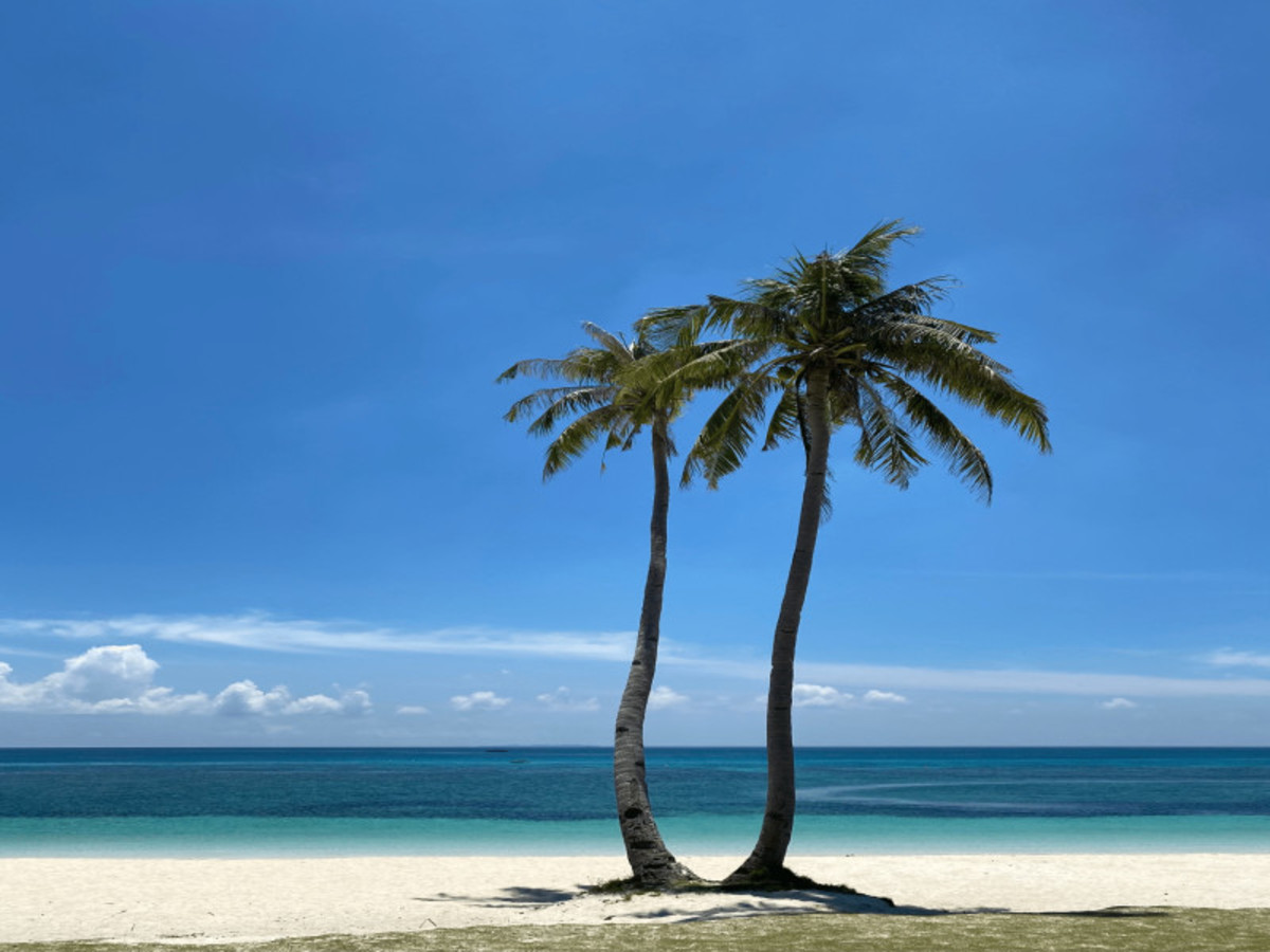 Bohol > Cebu 0