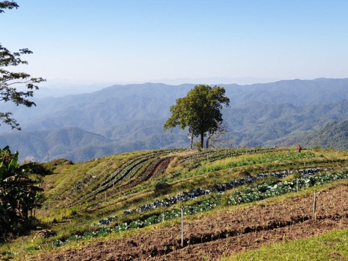 Hmong Hill Tribe Lodge – Mae Taeng – Hmong Hilltribe Lodge (Env. 100 Km) 0