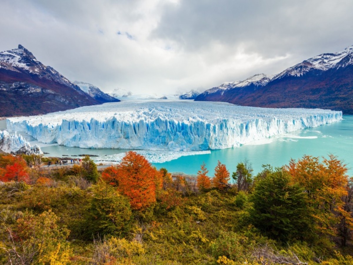 El Calafate > Perito Moreno > El Calafate (80km/01h00) 0