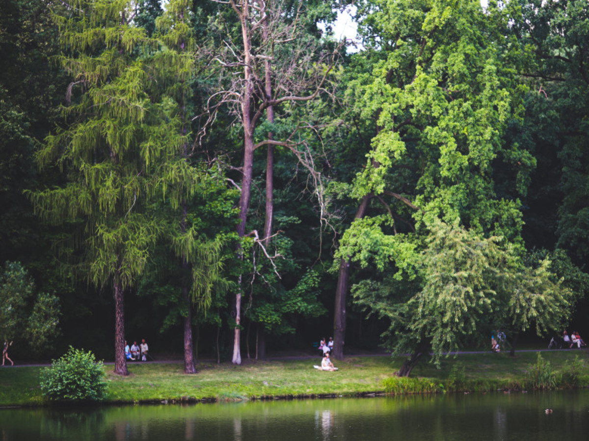 Taman Negara 0