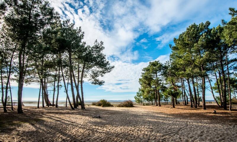 Camping Les Goélands 3*